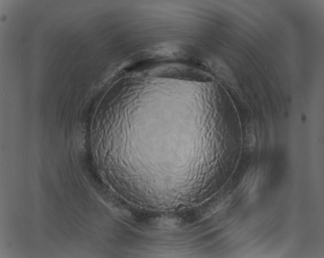 X0000068770255200605011034