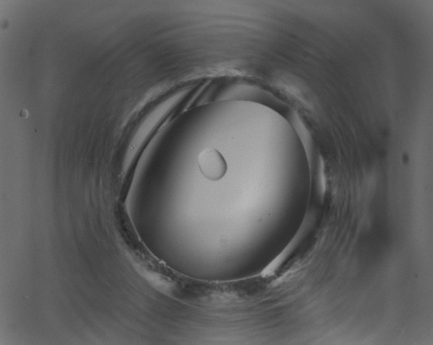 X0000068770256200605011034