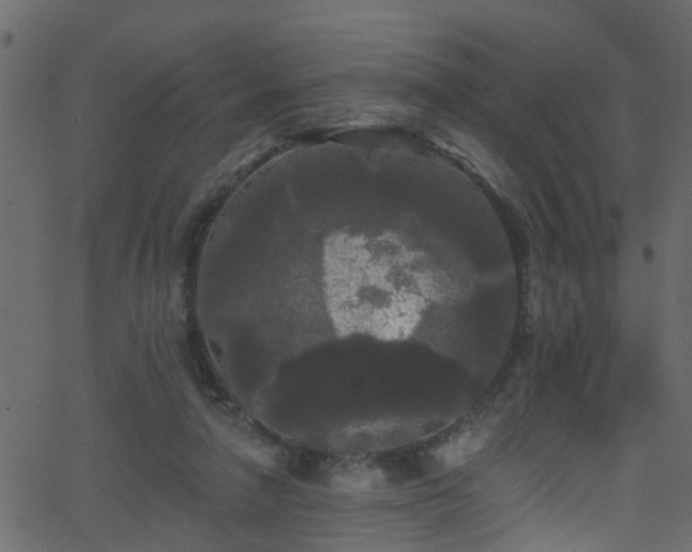 X0000068770258200605011034