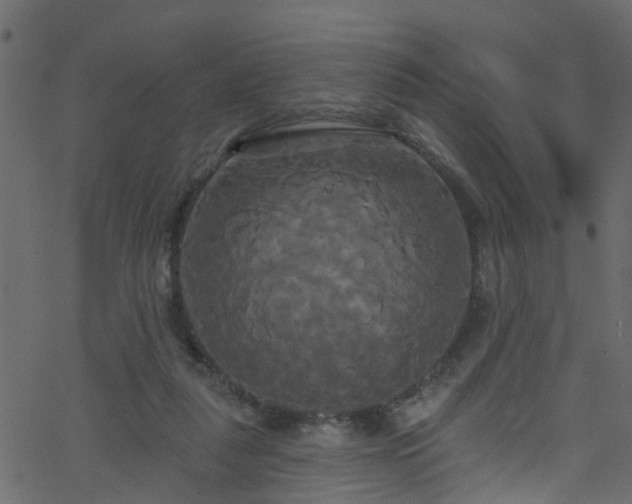 X0000068770259200605011034