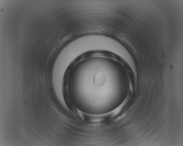 X0000068770260200605011034