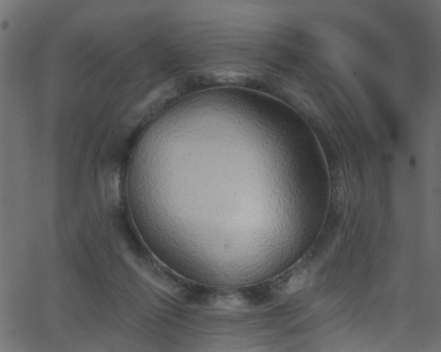 X0000068770262200605011034