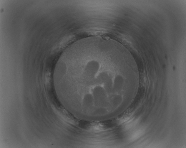 X0000068770263200605011034