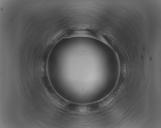 X0000068770264200605011034