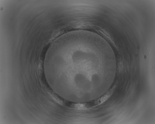 X0000068770265200605011034