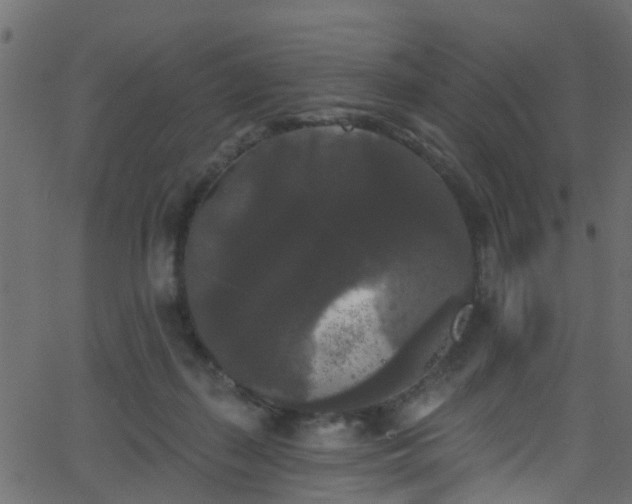 X0000068770267200605011034