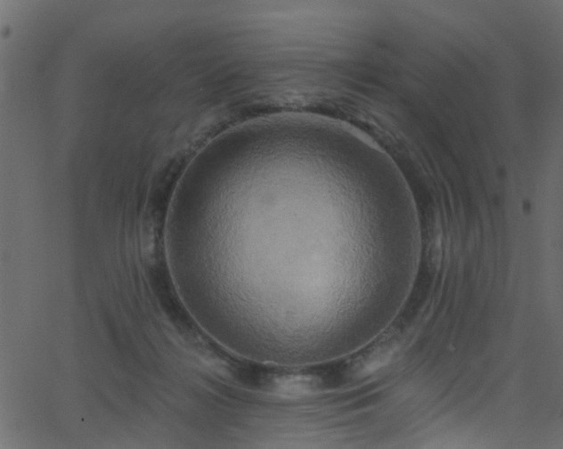 X0000068770268200605011034