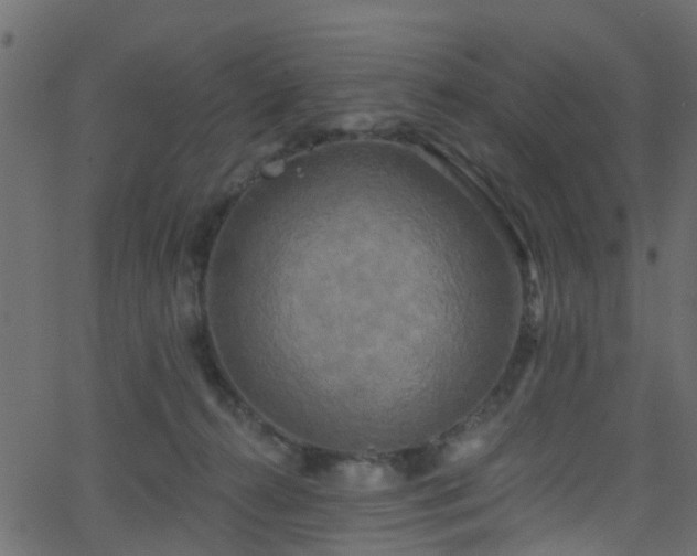 X0000068770272200605011034