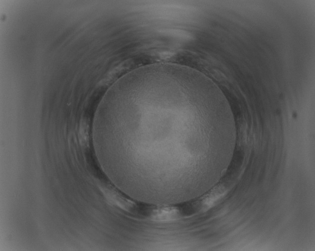 X0000068770274200605011035