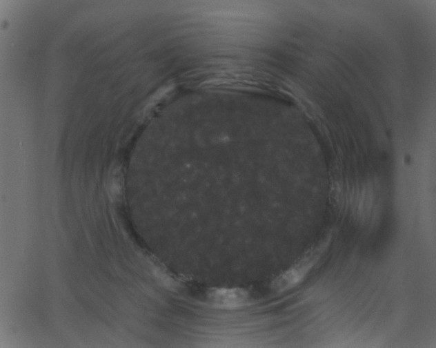 X0000068770277200605011035