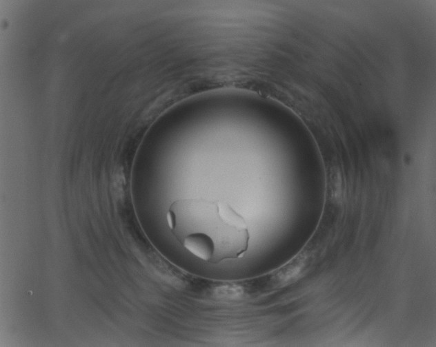 X0000068770279200605011035