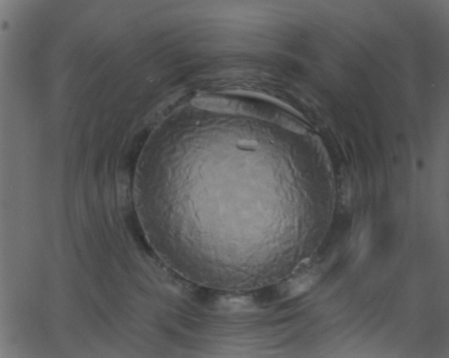 X0000068770283200605011035