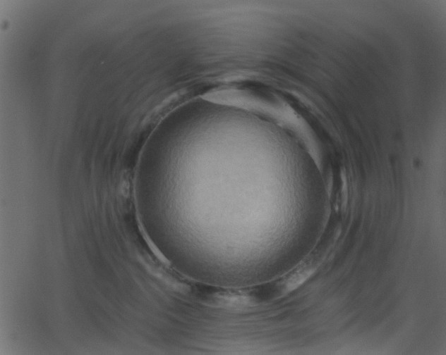 X0000068770284200605011035