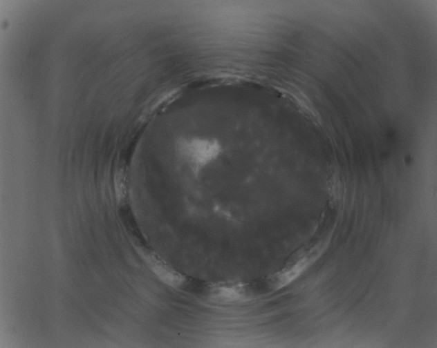 X0000068770285200605011035