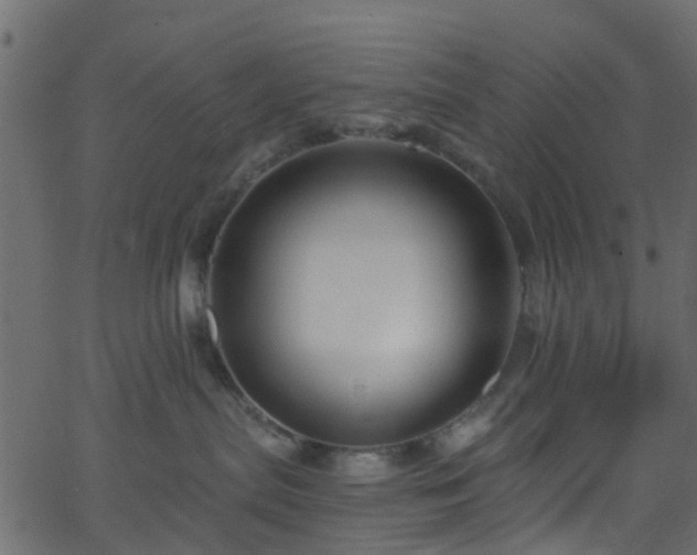 X0000068770287200605011035