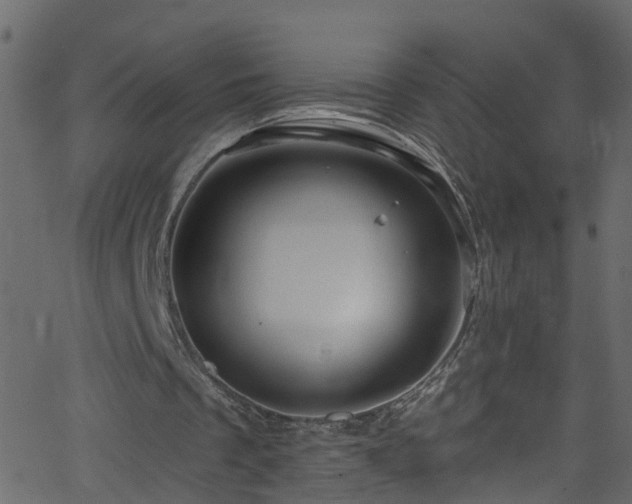 X0000068770289200605011034