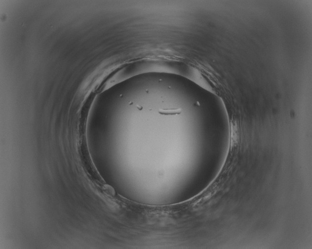 X0000068770291200605011034