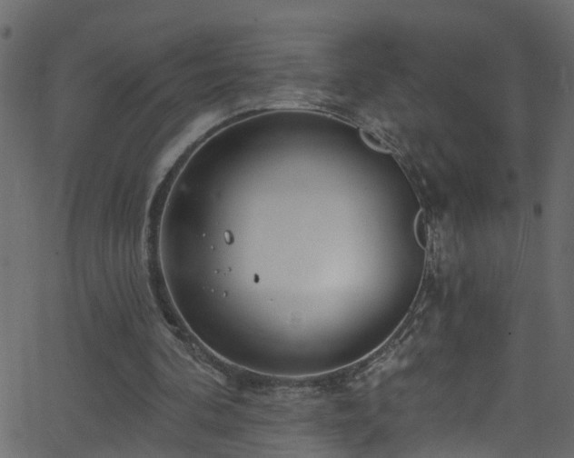 X0000068770292200605011034