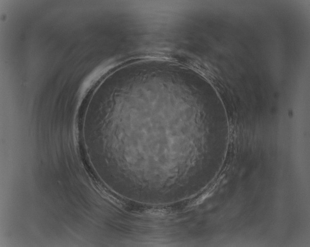 X0000068770294200605011034