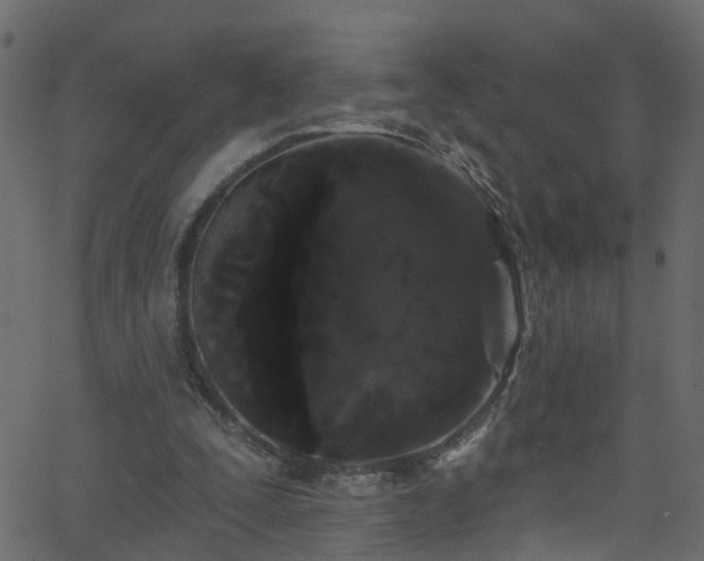 X0000068770295200605011034