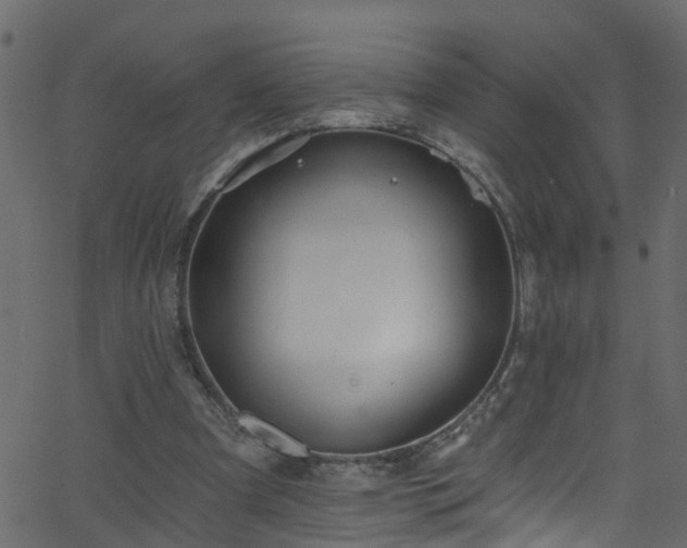 X0000068770297200605011034