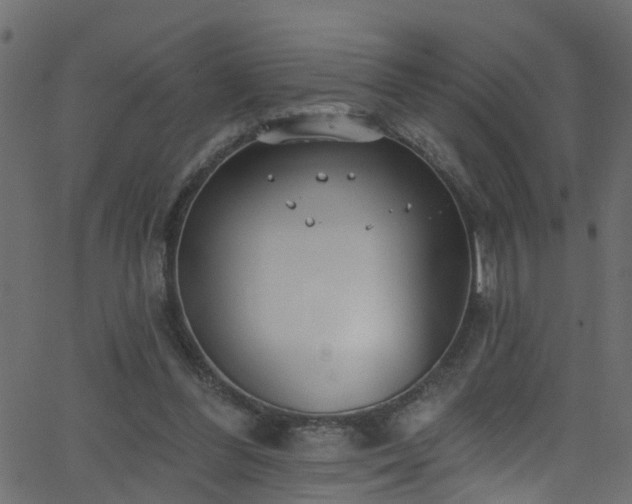 X0000068770300200605011034