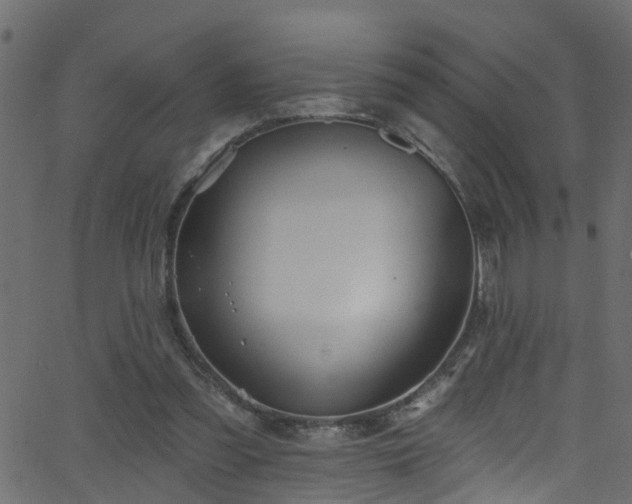 X0000068770301200605011034