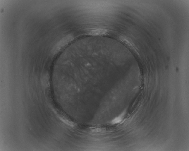 X0000068770303200605011034