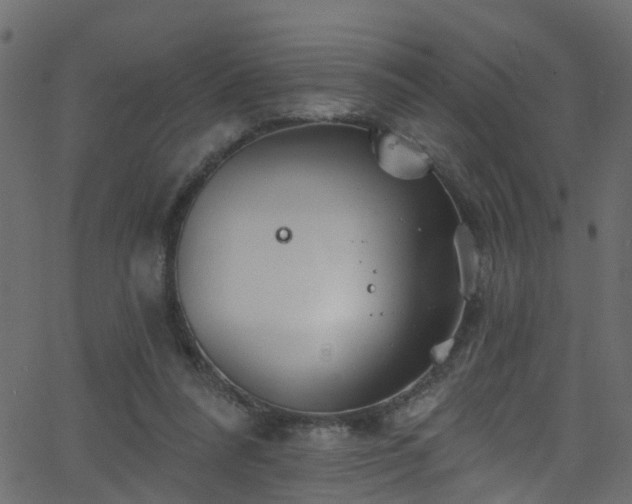 X0000068770304200605011034