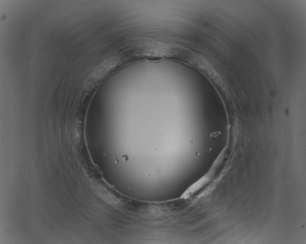 X0000068770305200605011034