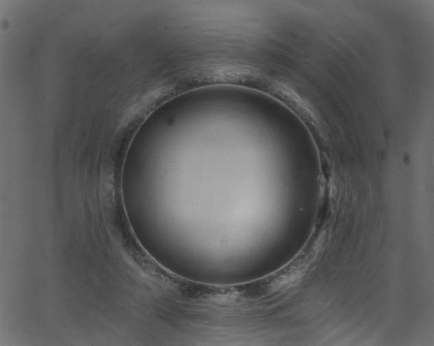 X0000068770306200605011034