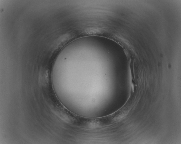 X0000068770308200605011034