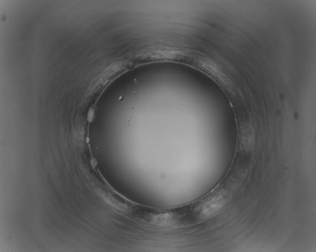 X0000068770309200605011034