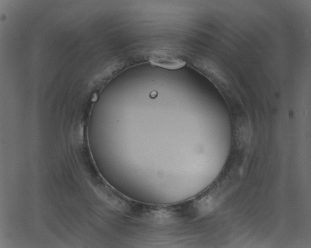 X0000068770310200605011034