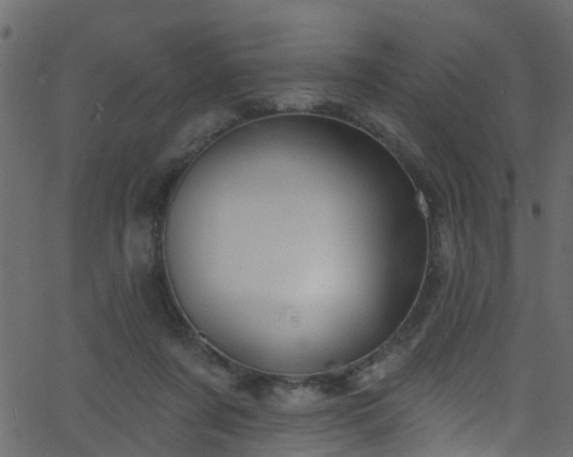 X0000068770311200605011034