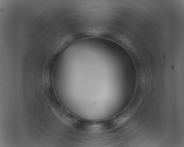 X0000068770312200605011034