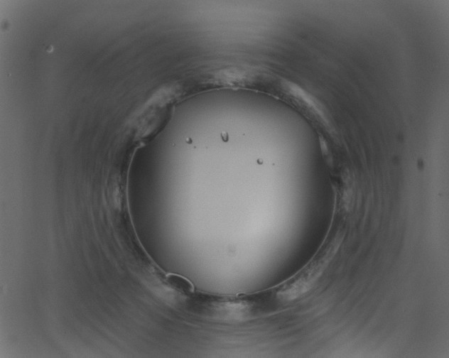 X0000068770313200605011034