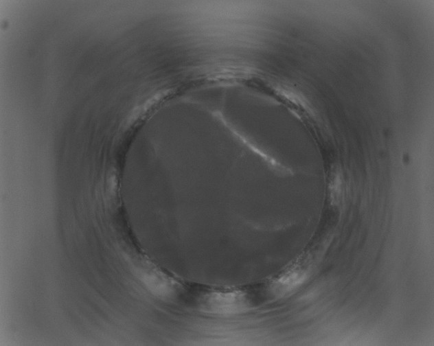 X0000068770314200605011034