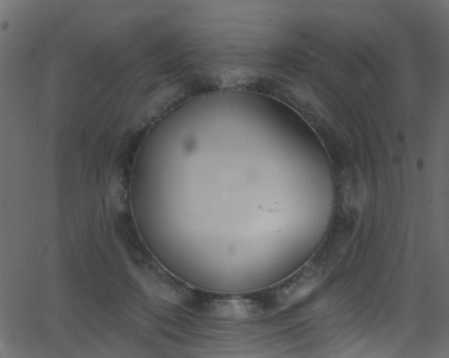 X0000068770316200605011034