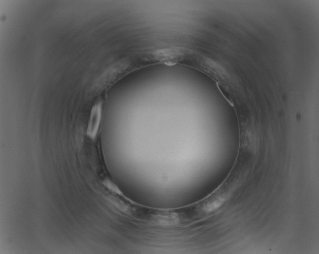 X0000068770317200605011034