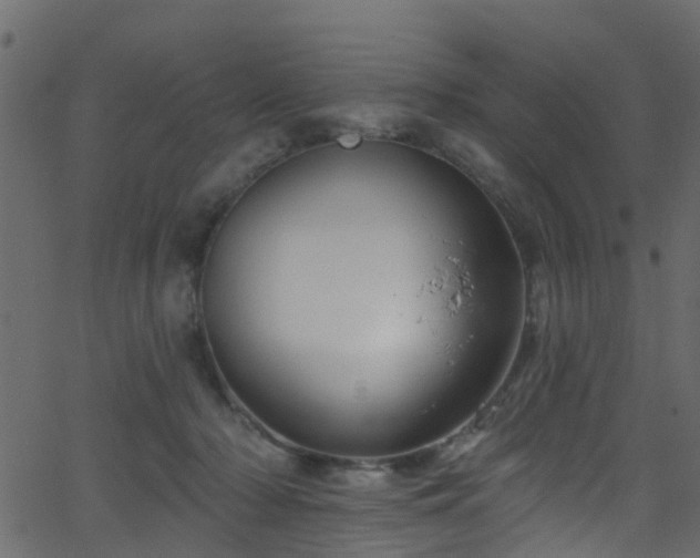 X0000068770318200605011034