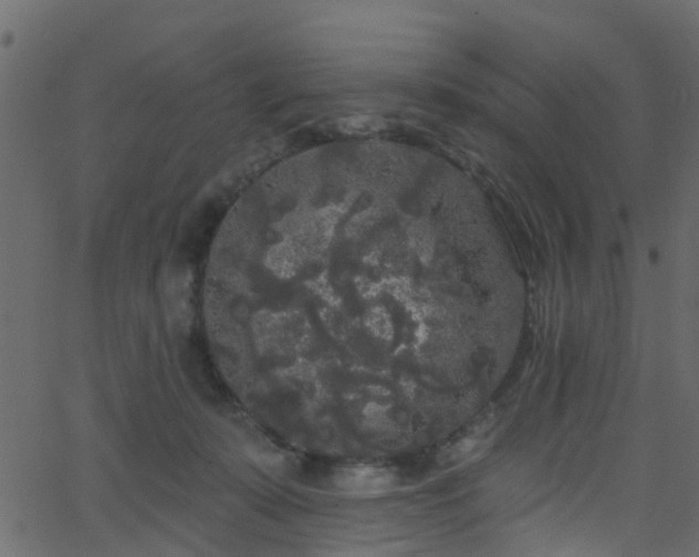 X0000068770319200605011033