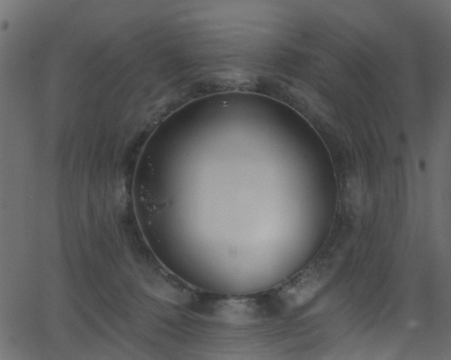 X0000068770320200605011033