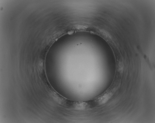 X0000068770321200605011033