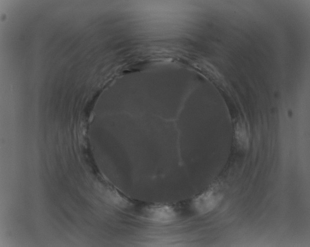 X0000068770322200605011033