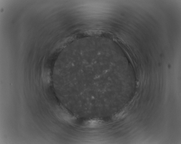 X0000068770323200605011033