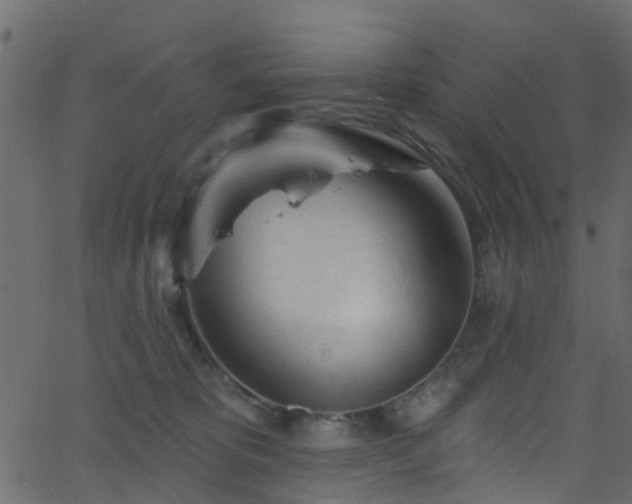 X0000068770325200605011033