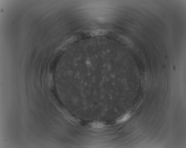 X0000068770327200605011033