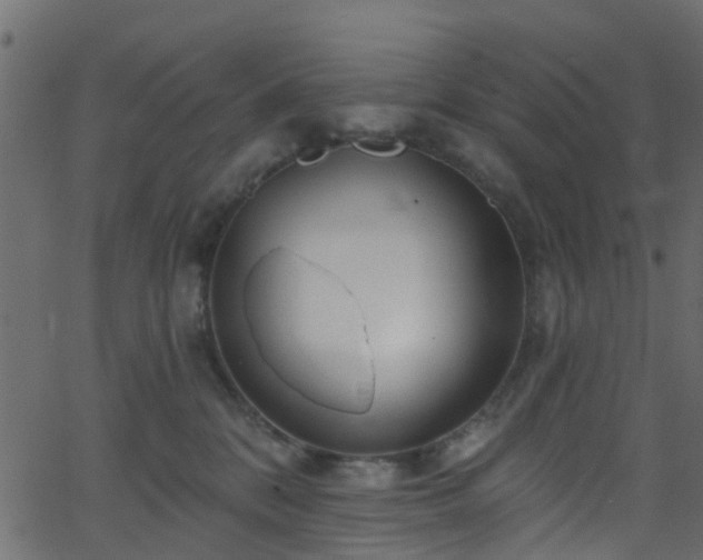 X0000068770328200605011033