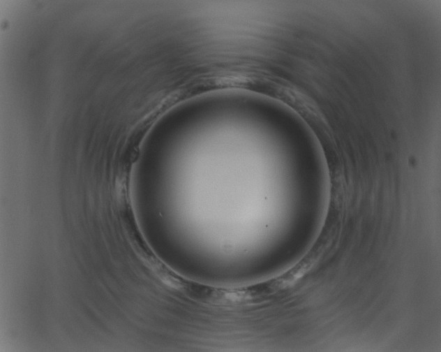 X0000068770329200605011033